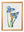 Blue Floral Illustrations Set of 4 Prints