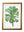 Botanical Nature Illustrations Set of 4 Prints