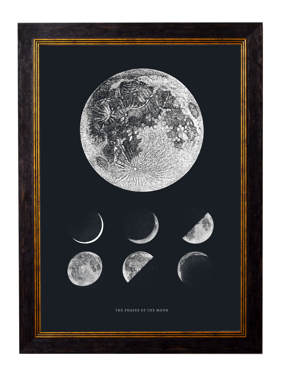 MoonFullSize_1200x1200.jpg?v=