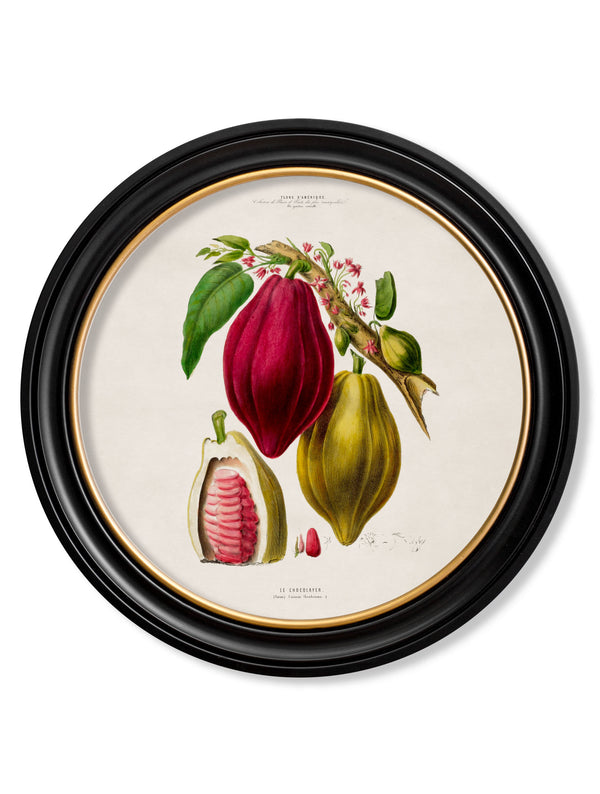 c.1843 Chocolate Plant - Round Frame