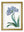 Blue Floral Illustrations Set of 4 Prints
