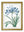 Blue Floral Illustrations Set of 4 Prints