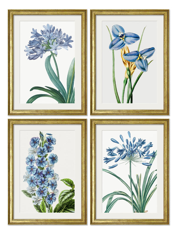 Blue Floral Illustrations Set of 4 Prints