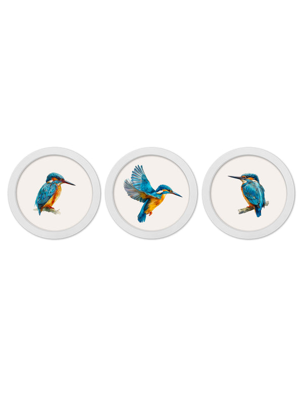 Watercolour Kingfishers - 30cm White Round Box Frame