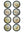 Garden Birds - 30cm Black Round Box Frame