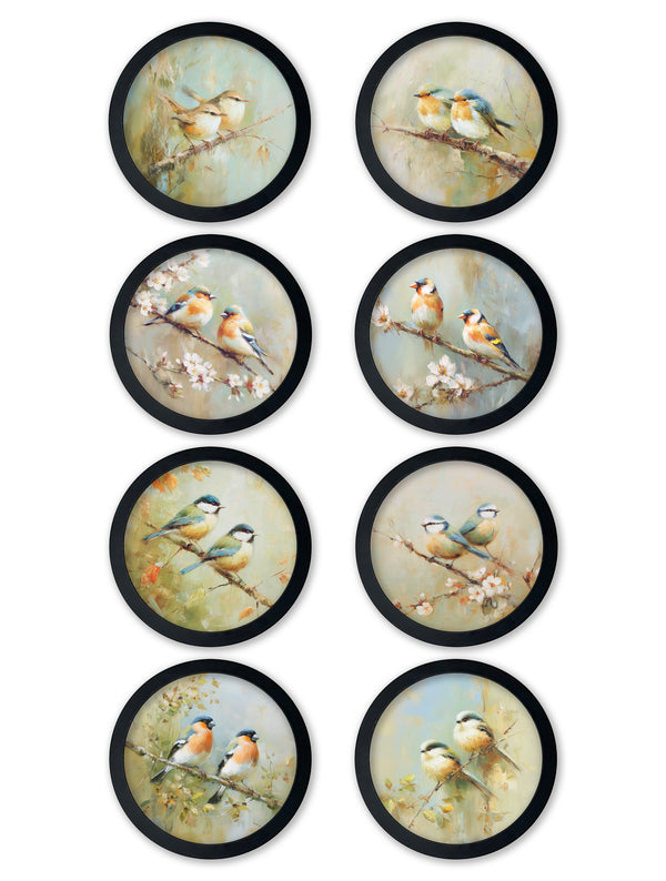 Garden Birds - 30cm Black Round Box Frame