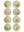 Garden Birds - 30cm Gold Round Box Frame