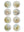 Garden Birds - 30cm White Round Box Frame