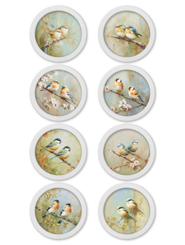Garden Birds - 30cm White Round Box Frame