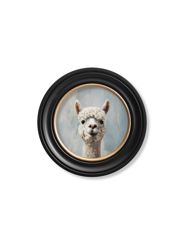 The Goofy Alpaca - Oxford Round Frame