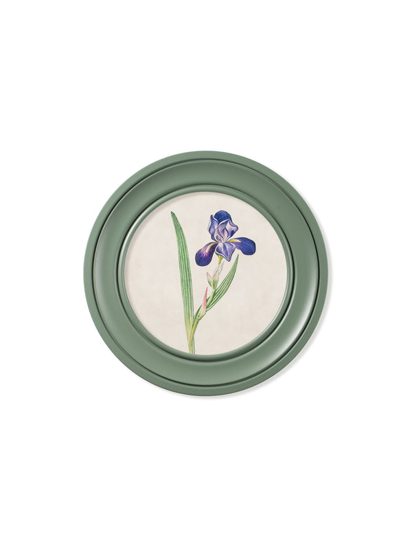 c.1780 Flowering Plants Round Frame Green