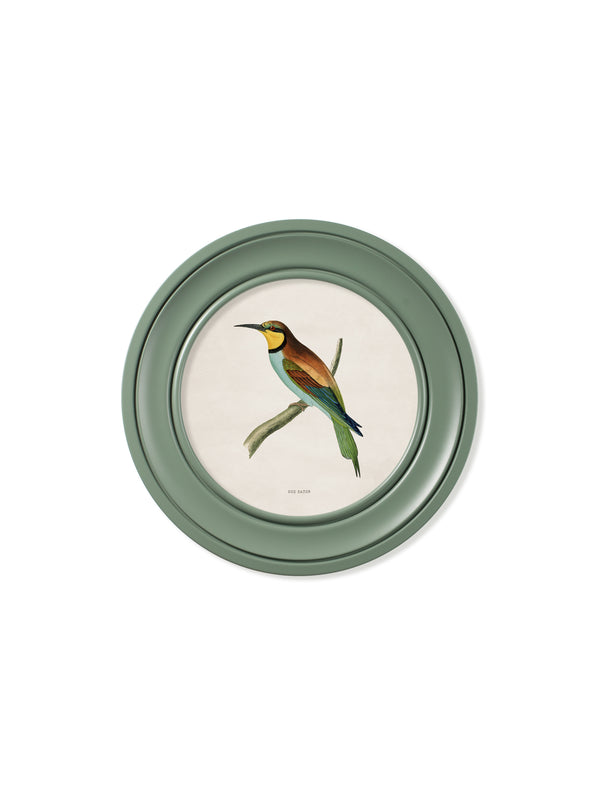 c.1870 Kingfisher and Bee Eater - Round Frame Green