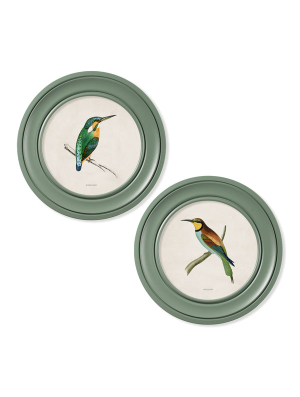 c.1870 Kingfisher and Bee Eater - Round Frame Green