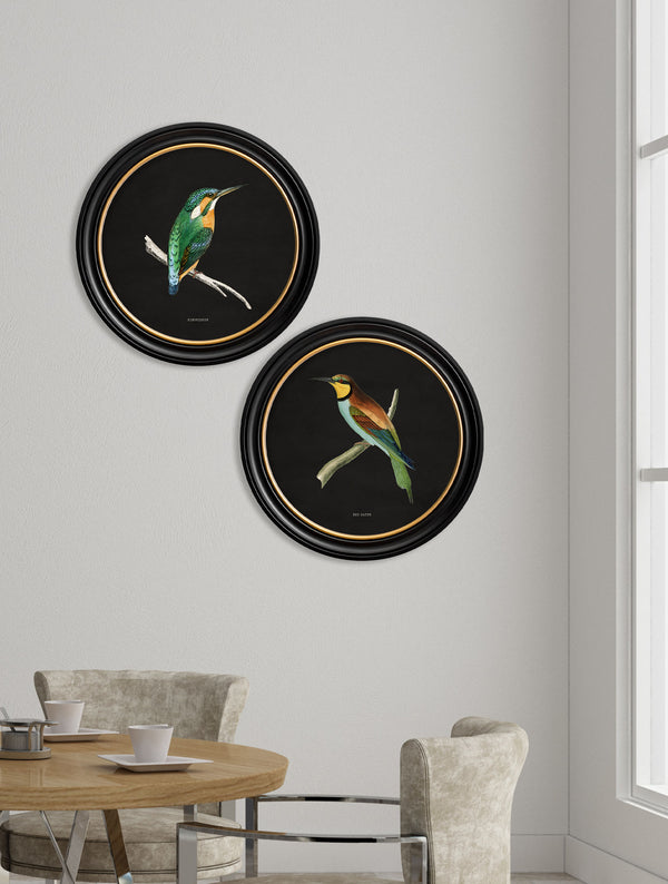 c.1870 Kingfisher and Bee Eater - Black