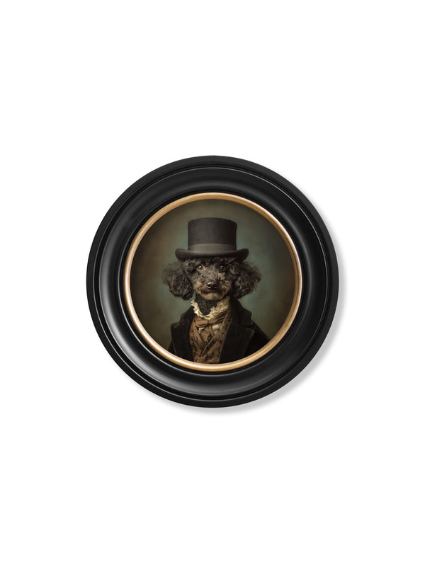 Sir Poodleton - Gentleman Poodle Oxford round frame