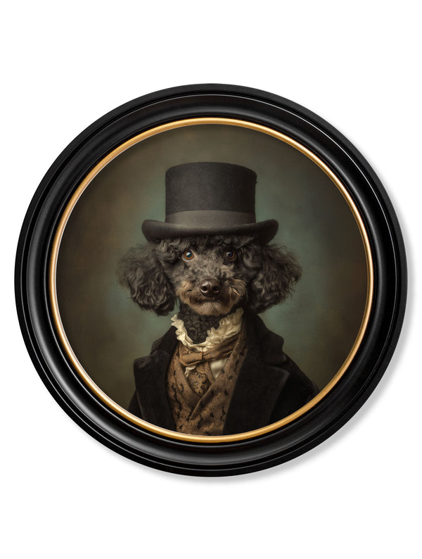 Sir Poodleton - Gentleman Poodle Oxford round frame