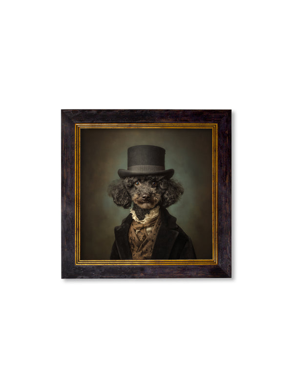 Sir Poodleton - Gentleman Poodle Oxford Square Frame
