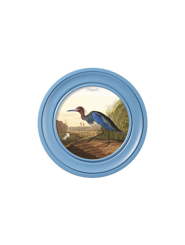 c.1838 Audubon's Blue Heron in Blue Frame