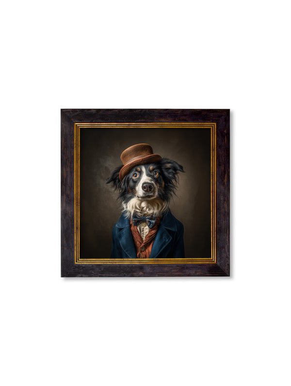 Lord Shearlock - Gentleman Border Collie Oxford Square Frame