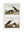 c.1838 Audubon's Puffins