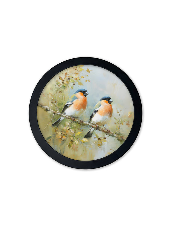 Garden Birds - 30cm Black Round Box Frame