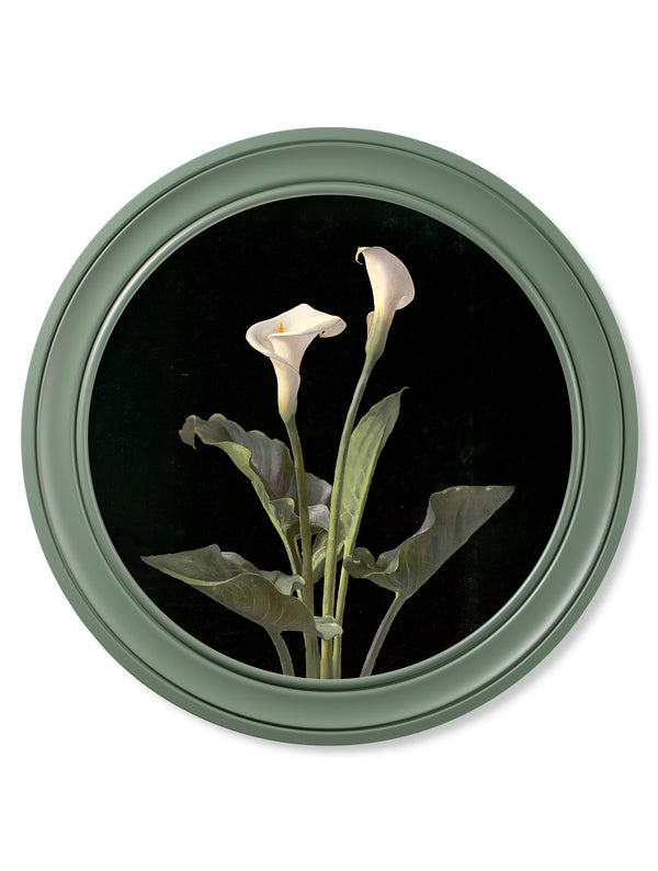 c.1874 George Cochran Lambdin Lillys - Round Frame Green