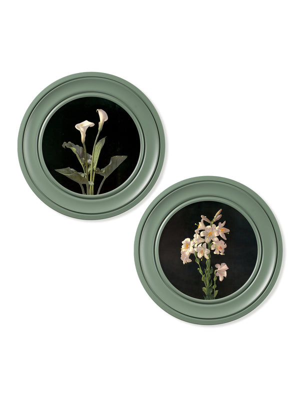 c.1874 George Cochran Lambdin Lillys - Round Frame Green