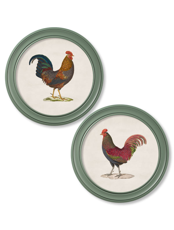 c.1838 Junglefowl in Round Frames Green