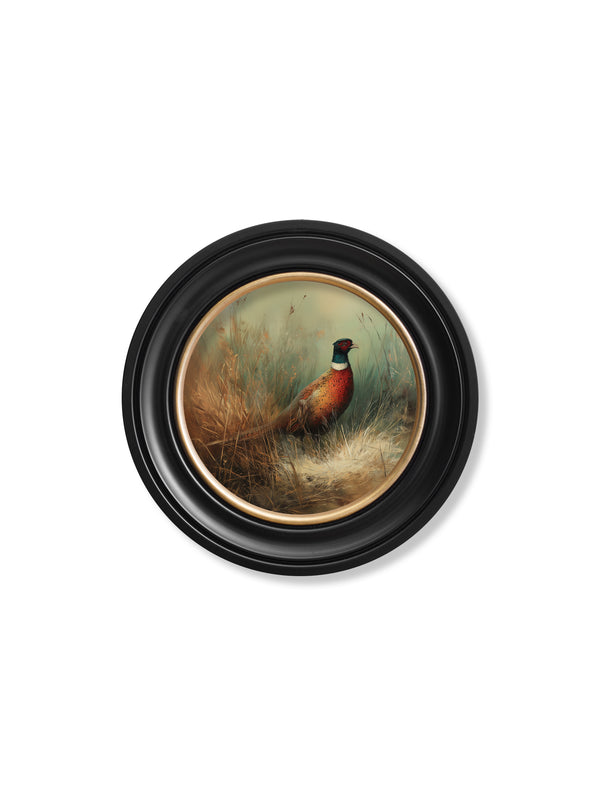 Countryside Pheasant - Oxford Round Frame