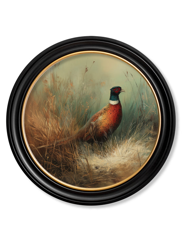 Countryside Pheasant - Oxford Round Frame