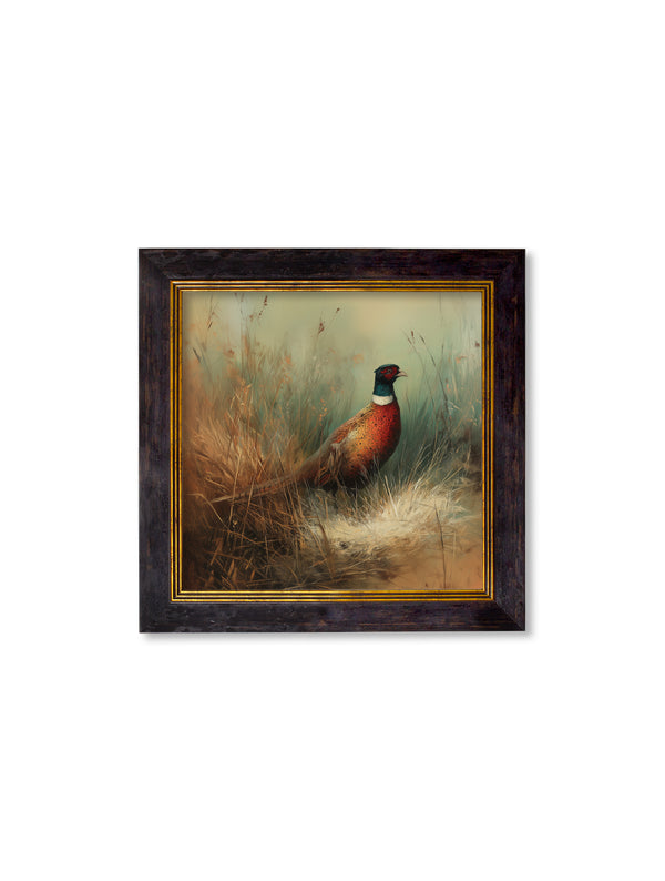Countryside Pheasant - Oxford Square Frame