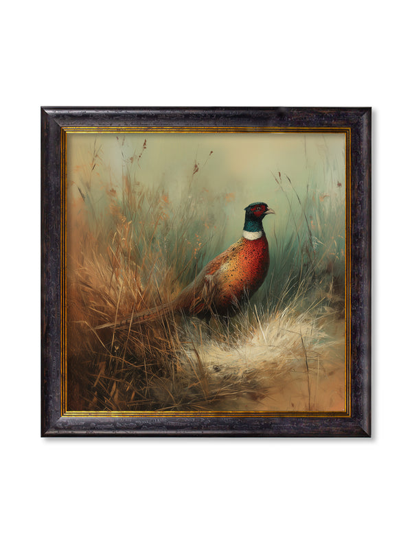 Countryside Pheasant - Oxford Square Frame