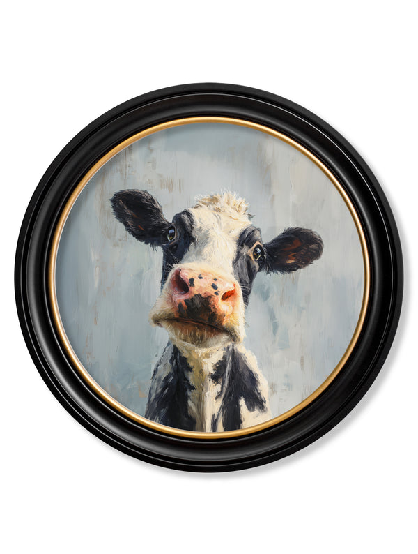 The Curious Cow - Oxford Round Frame