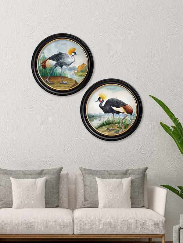 Audubon Style Cranes in Round Frames