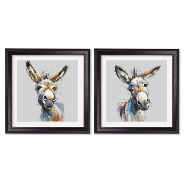 Donkey Jack & Jennet Cosy Sketch - Black Hurstwood Square Frame