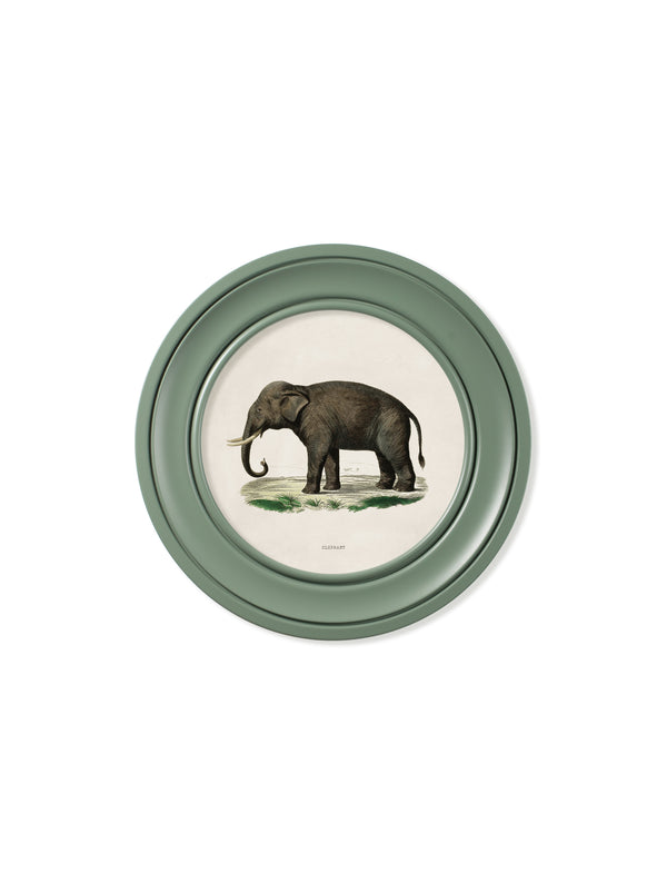 c.1846 Elephants in Round Frame Green