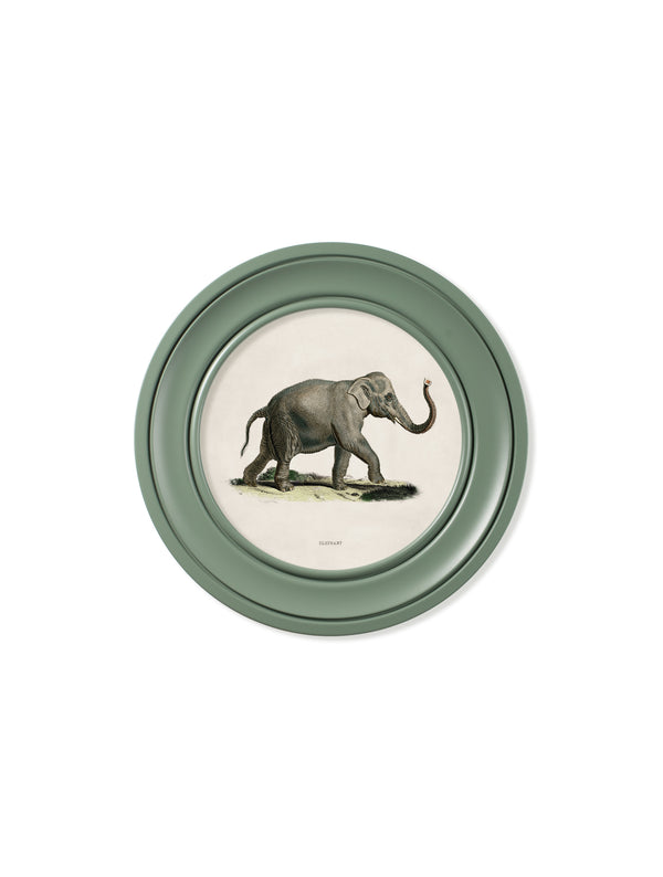 c.1846 Elephants in Round Frame Green