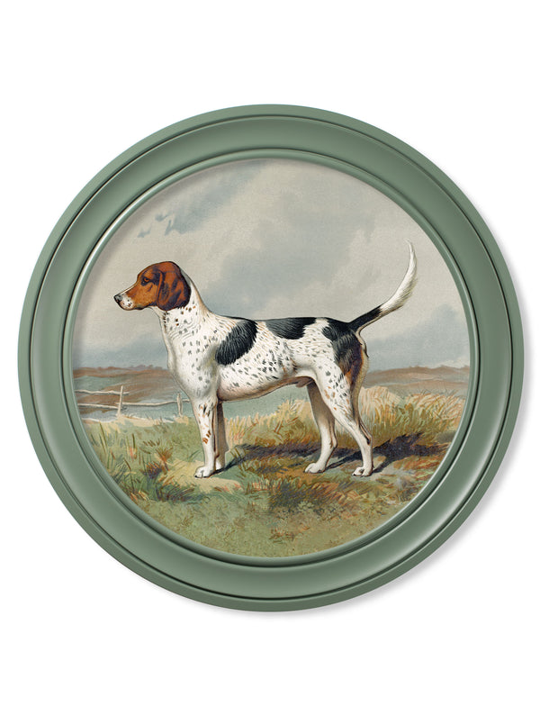 c.1881 Gun Dogs - Round Frame Green