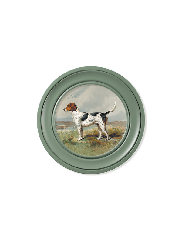 c.1881 Gun Dogs - Round Frame Green