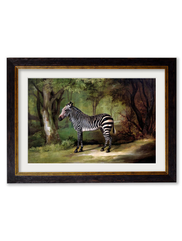 c.1763 George Stubb's Zebra