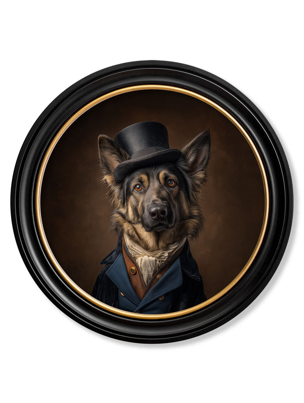 Count Von Shepherd - Gentleman German Shepherd Oxford round frame