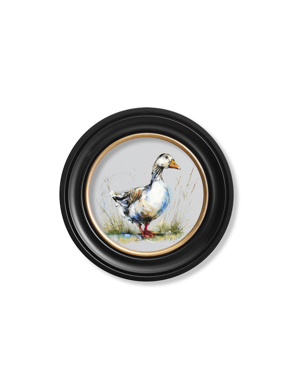 White Goose Cosy Sketch - Oxford Round Frame