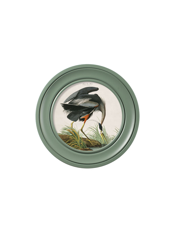 c.1838 Audubon's Great Blue Heron in Green Frame