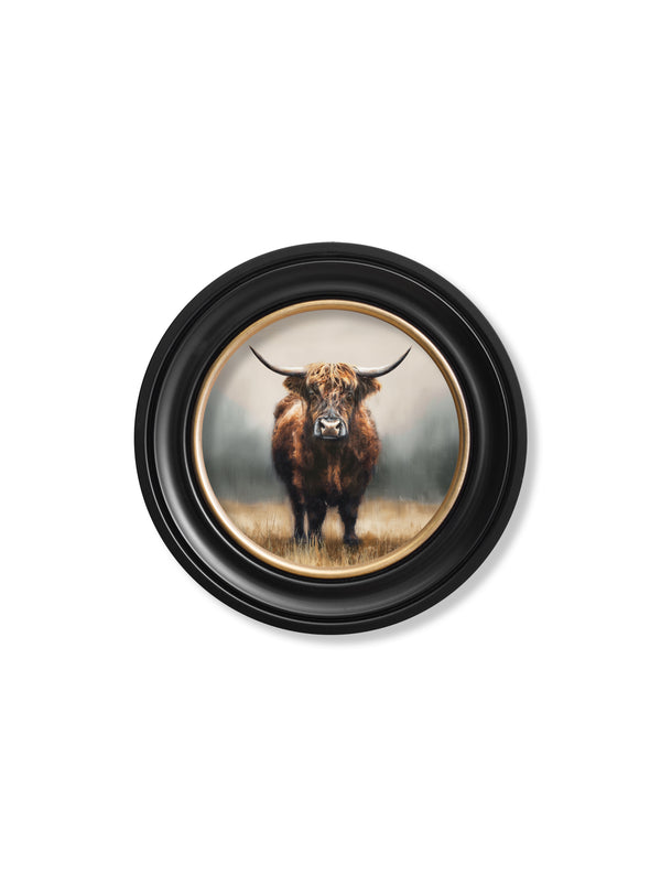Highland Cow - Oxford Round Frame