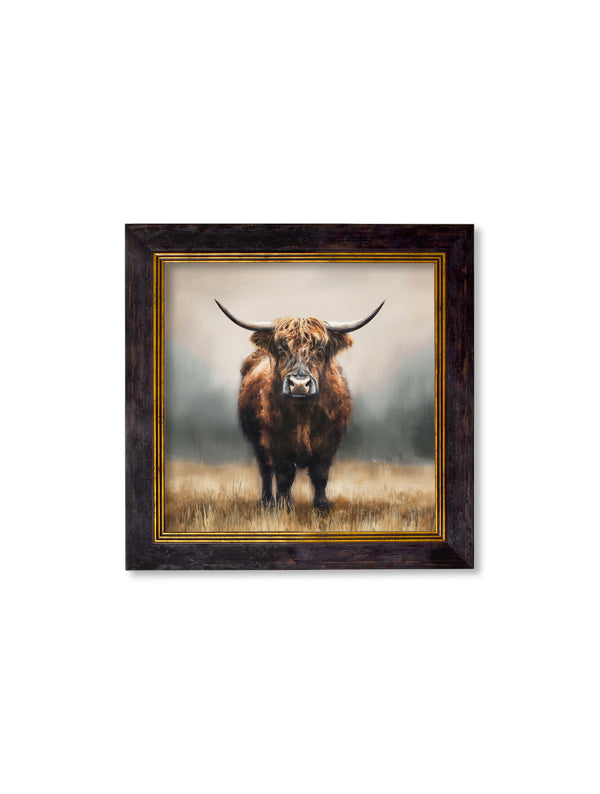 Highland Cow - Oxford Square Frame