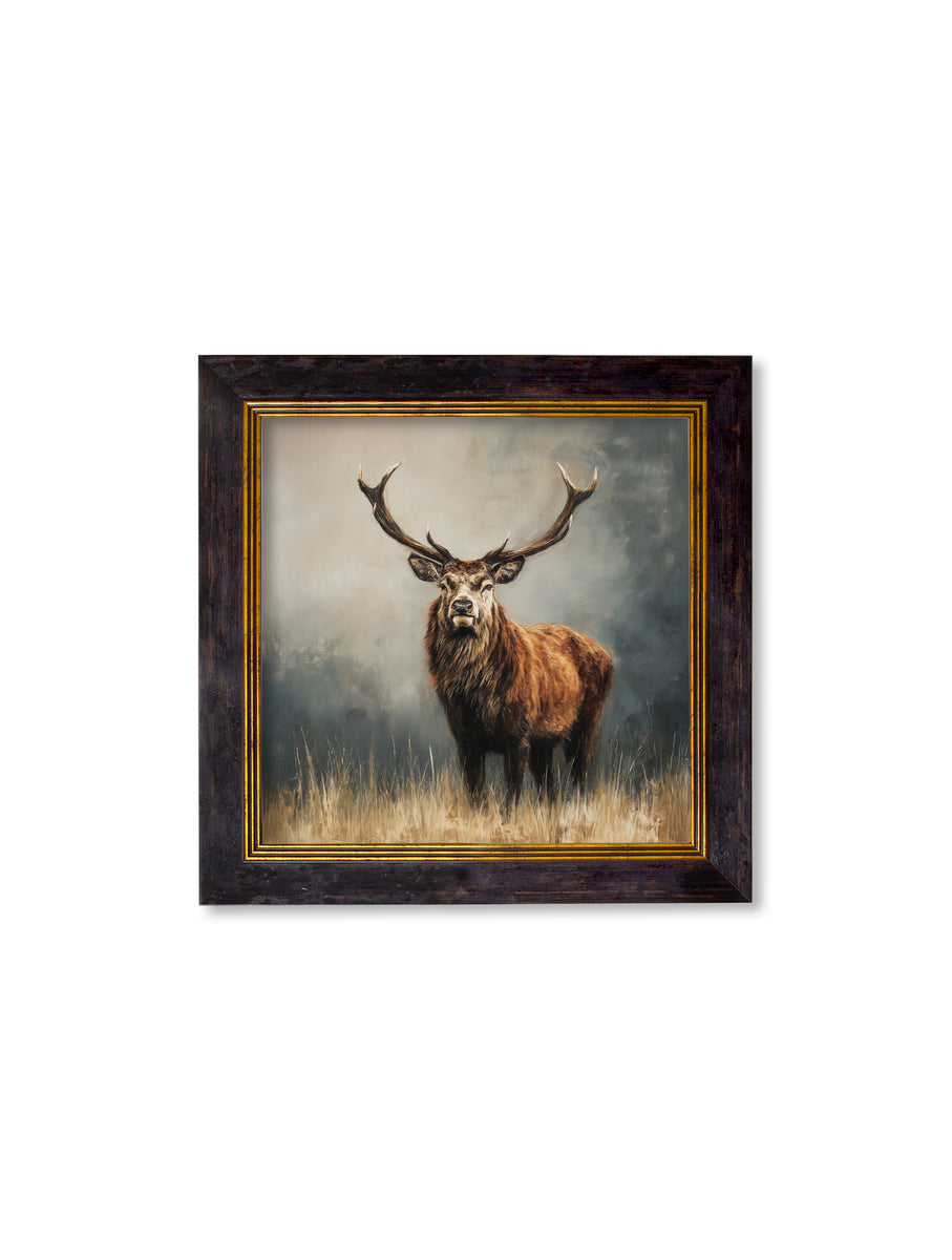 Highland Stag - Oxford square frame – T A Interiors