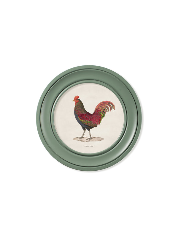 c.1838 Junglefowl in Round Frames Green