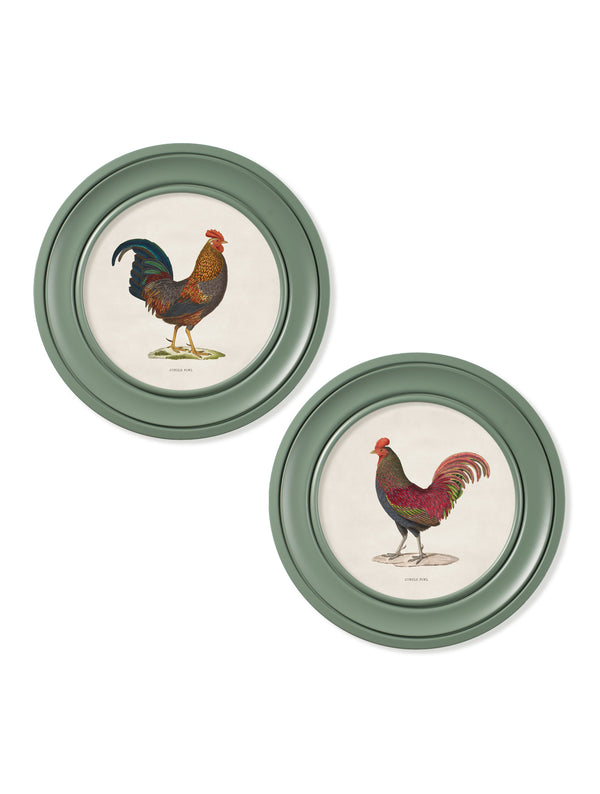 c.1838 Junglefowl in Round Frames Green