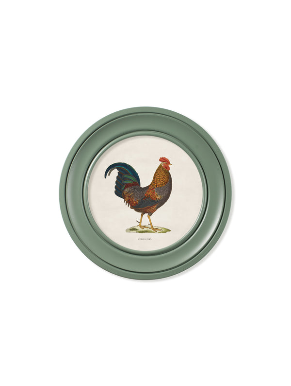 c.1838 Junglefowl in Round Frames Green