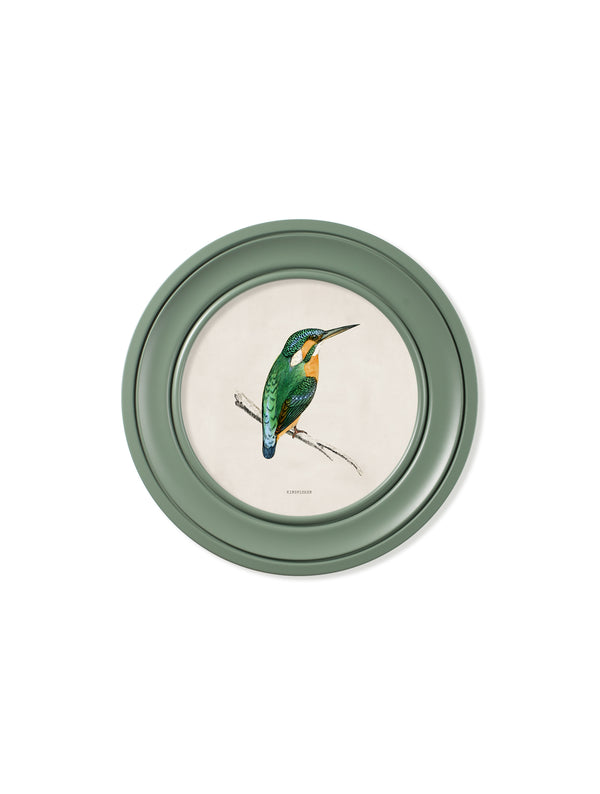 c.1870 Kingfisher and Bee Eater - Round Frame Green